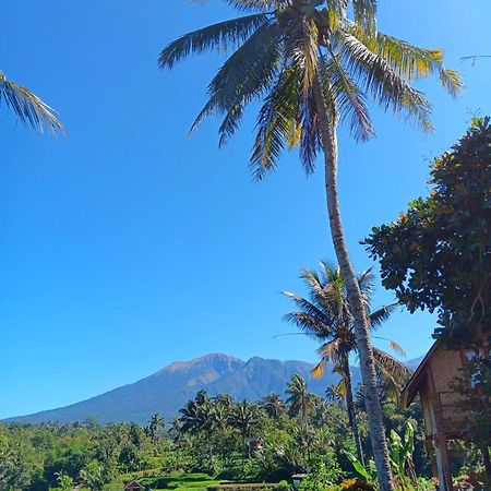 Dewi Rinjani Homestay Tetebatu Zewnętrze zdjęcie