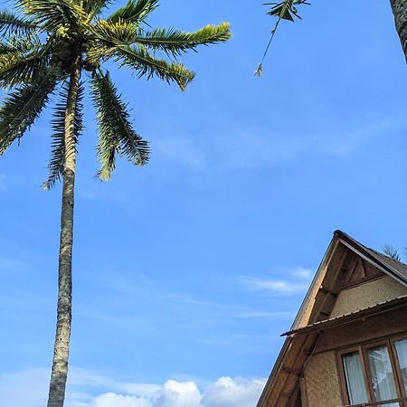 Dewi Rinjani Homestay Tetebatu Zewnętrze zdjęcie