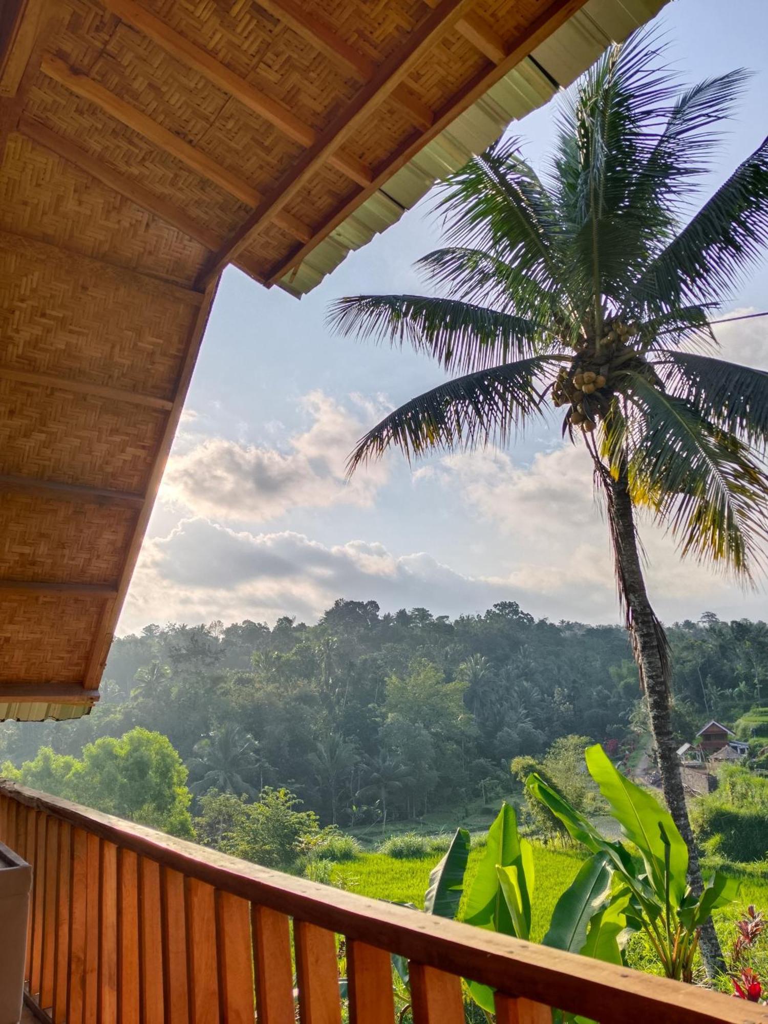 Dewi Rinjani Homestay Tetebatu Zewnętrze zdjęcie