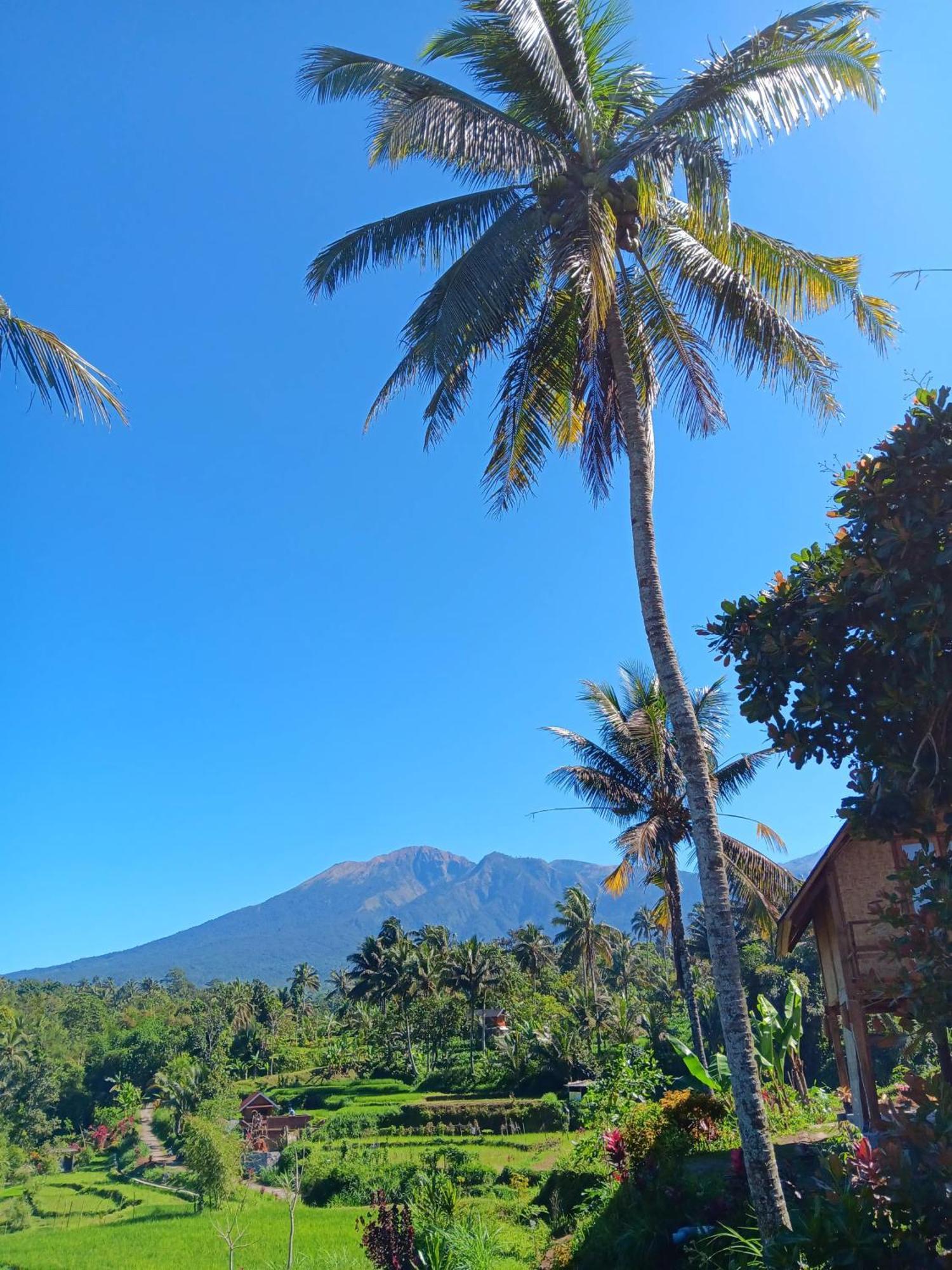 Dewi Rinjani Homestay Tetebatu Zewnętrze zdjęcie