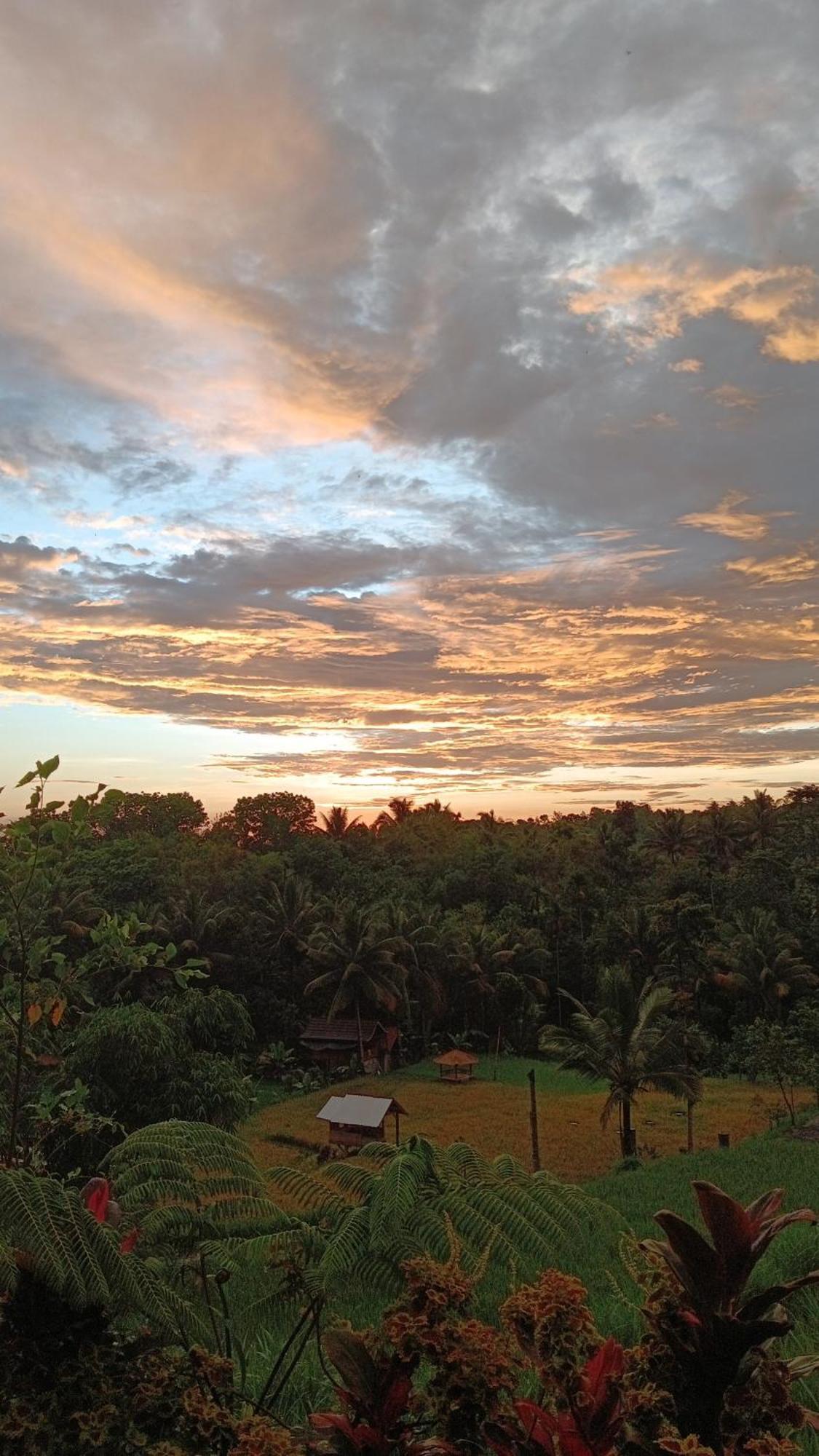 Dewi Rinjani Homestay Tetebatu Zewnętrze zdjęcie