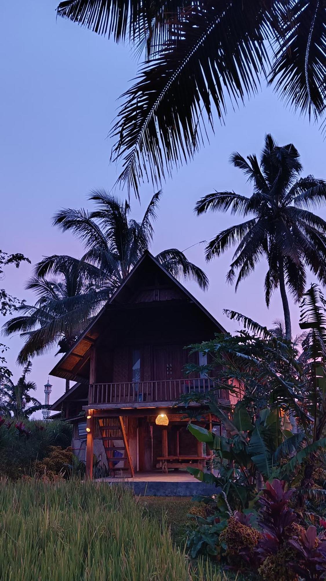 Dewi Rinjani Homestay Tetebatu Zewnętrze zdjęcie
