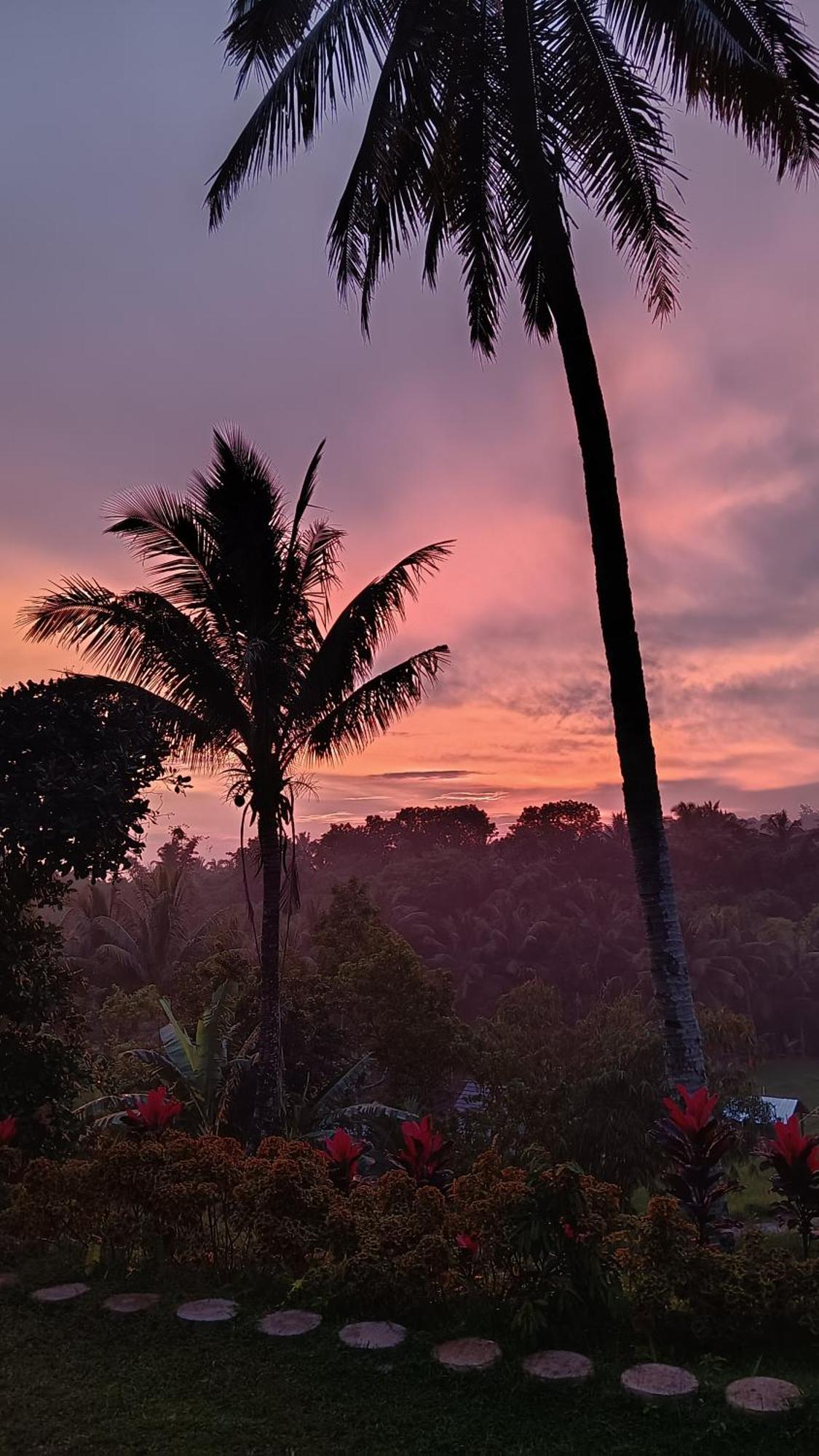 Dewi Rinjani Homestay Tetebatu Zewnętrze zdjęcie