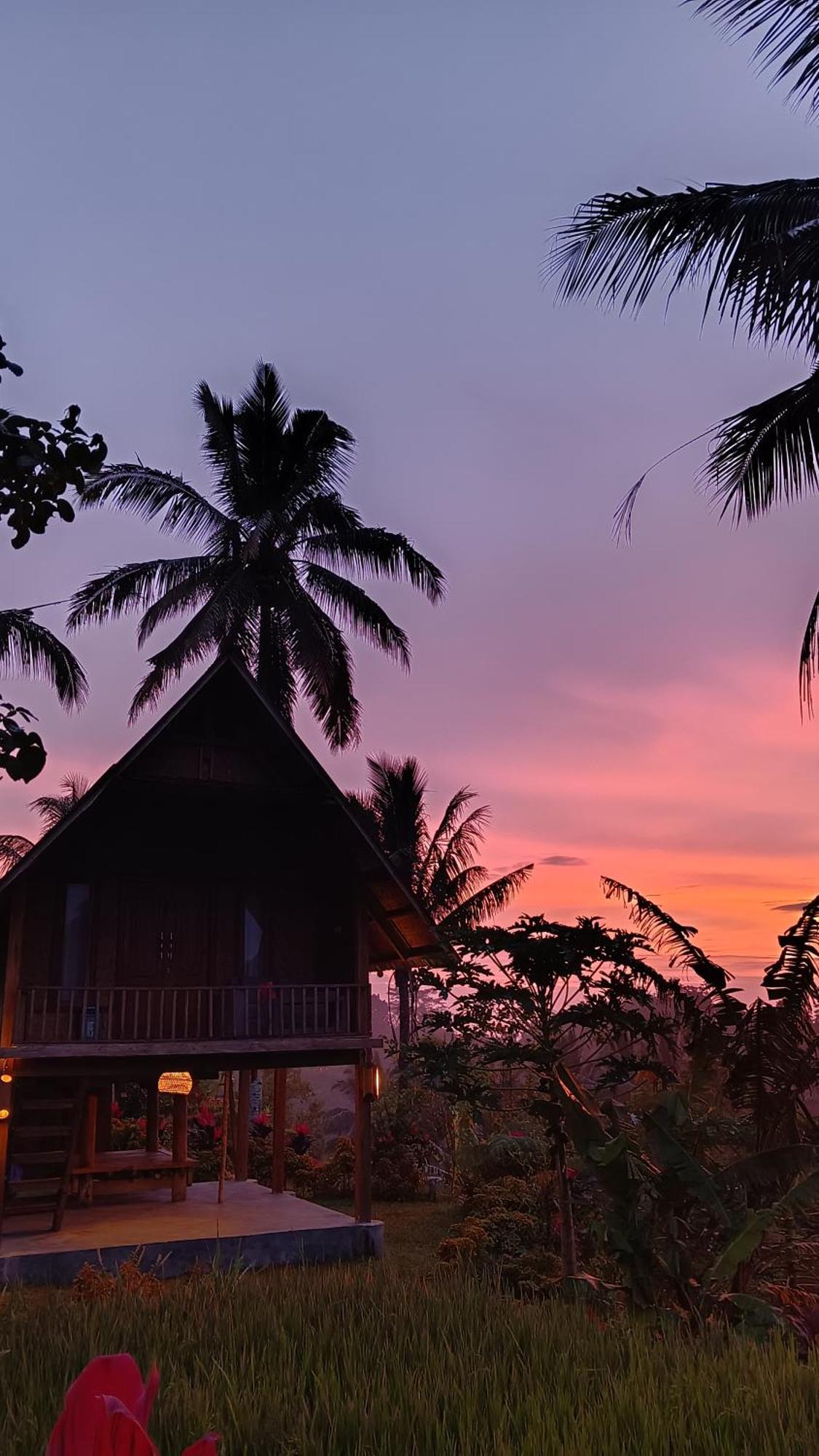 Dewi Rinjani Homestay Tetebatu Zewnętrze zdjęcie