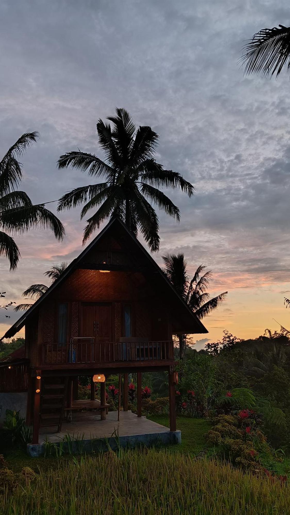 Dewi Rinjani Homestay Tetebatu Zewnętrze zdjęcie
